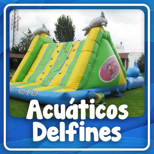 Acuáticos Delfines