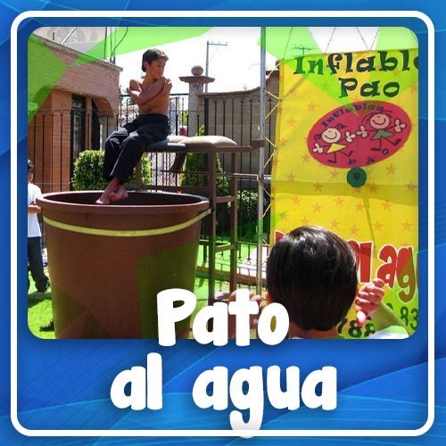 Pato al agua