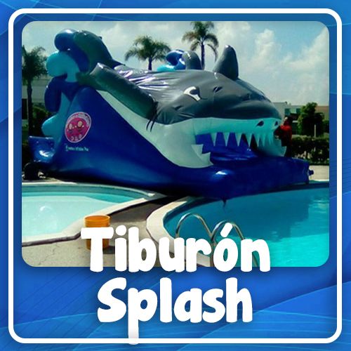tiburon splash